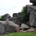 DSC_0170.jpg