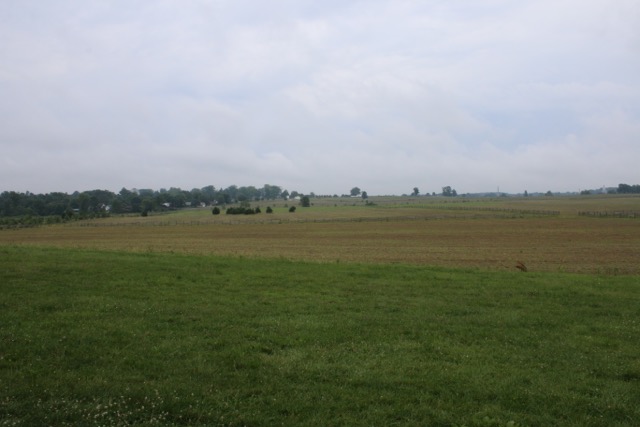 IMG_0470.jpg