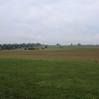 IMG_0470.jpg