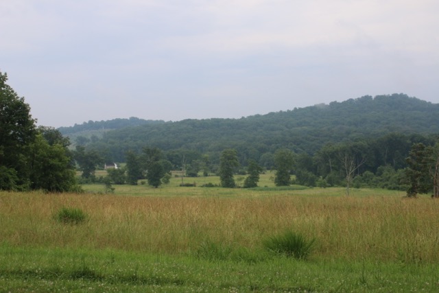 IMG_0478.jpg
