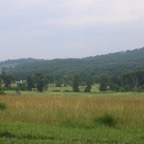 IMG_0478.jpg