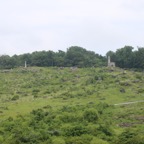 IMG_0499.jpg