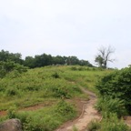 IMG_0502.jpg