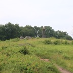 IMG_0503.jpg