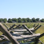 IMG_0557.jpg