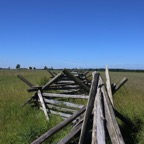 IMG_0558.jpg