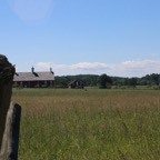 IMG_0559.jpg