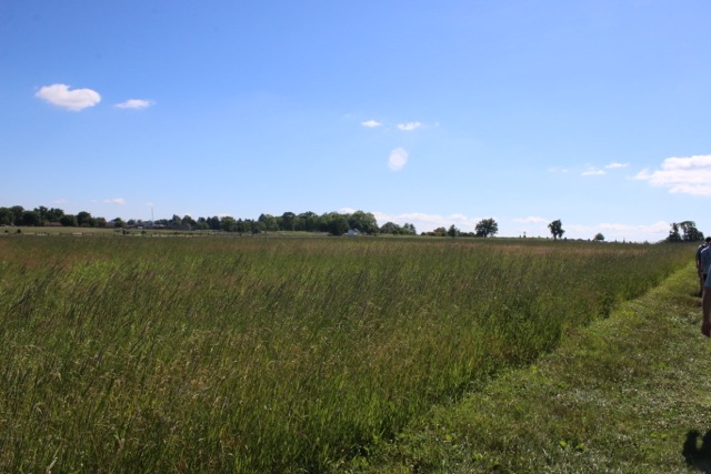 IMG_0574.jpg