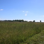 IMG_0574.jpg