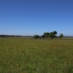 IMG_0583.jpg