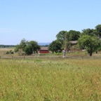 IMG_0584.jpg