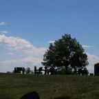 IMG_0587.jpg