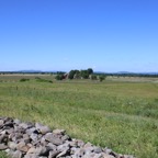 IMG_0595.jpg