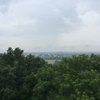 IMG_2595.jpg